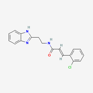 molecular formula C18H16ClN3O B5537038 N-[2-(1H-苯并咪唑-2-基)乙基]-3-(2-氯苯基)丙烯酰胺 