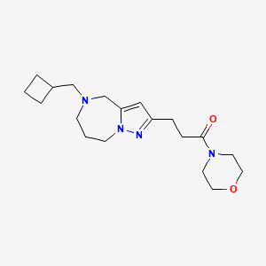 molecular formula C19H30N4O2 B5537100 5-(cyclobutylmethyl)-2-[3-(4-morpholinyl)-3-oxopropyl]-5,6,7,8-tetrahydro-4H-pyrazolo[1,5-a][1,4]diazepine 