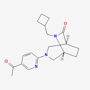 molecular formula C19H25N3O2 B5537949 (1S*,5R*)-3-(5-乙酰-2-吡啶基)-6-(环丁基甲基)-3,6-二氮杂双环[3.2.2]壬烷-7-酮 