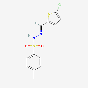 molecular formula C12H11ClN2O2S2 B5538268 N'-[(5-chloro-2-thienyl)methylene]-4-methylbenzenesulfonohydrazide 
