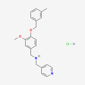 molecular formula C22H25ClN2O2 B5538317 {3-methoxy-4-[(3-methylbenzyl)oxy]benzyl}(4-pyridinylmethyl)amine hydrochloride 