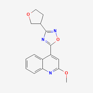 molecular formula C16H15N3O3 B5538804 2-甲氧基-4-[3-(四氢呋喃-3-基)-1,2,4-恶二唑-5-基]喹啉 