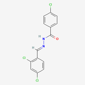 molecular formula C14H9Cl3N2O B5538839 4-chloro-N'-(2,4-dichlorobenzylidene)benzohydrazide 
