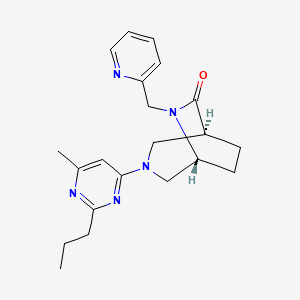 molecular formula C21H27N5O B5538959 (1S*,5R*)-3-(6-methyl-2-propyl-4-pyrimidinyl)-6-(2-pyridinylmethyl)-3,6-diazabicyclo[3.2.2]nonan-7-one 