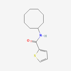 molecular formula C13H19NOS B5539779 N-环辛基-2-噻吩甲酰胺 