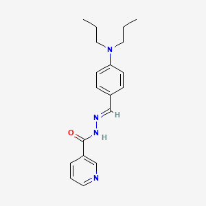 molecular formula C19H24N4O B5540797 N'-[4-(dipropylamino)benzylidene]nicotinohydrazide 
