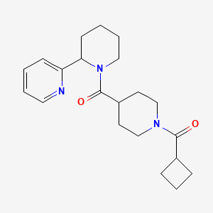 2-(1-{[1-(cyclobutylcarbonyl)-4-piperidinyl]carbonyl}-2-piperidinyl)pyridine