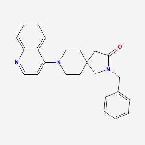 molecular formula C24H25N3O B5541328 2-benzyl-8-(4-quinolinyl)-2,8-diazaspiro[4.5]decan-3-one 