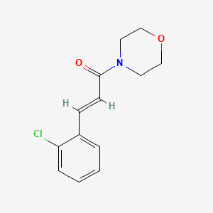 molecular formula C13H14ClNO2 B5542263 4-[3-(2-氯苯基)丙烯酰基]吗啉 