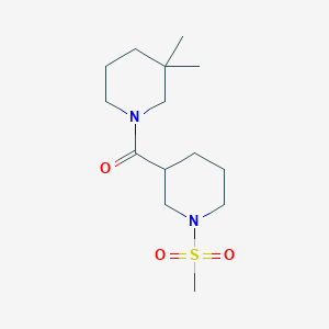 molecular formula C14H26N2O3S B5542759 3,3-二甲基-1-{[1-(甲基磺酰基)-3-哌啶基]羰基}哌啶 