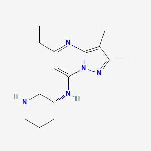 molecular formula C15H23N5 B5542904 5-ethyl-2,3-dimethyl-N-[(3R)-3-piperidinyl]pyrazolo[1,5-a]pyrimidin-7-amine dihydrochloride 