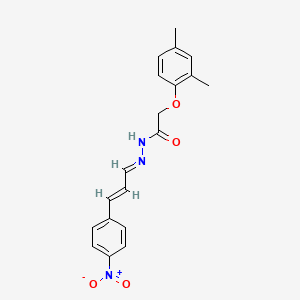 molecular formula C19H19N3O4 B5543480 2-(2,4-dimethylphenoxy)-N'-[3-(4-nitrophenyl)-2-propen-1-ylidene]acetohydrazide 