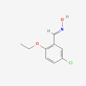 molecular formula C9H10ClNO2 B5544570 5-氯-2-乙氧基苯甲醛肟 