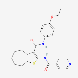 molecular formula C24H25N3O3S B5545504 N-(3-{[(4-ethoxyphenyl)amino]carbonyl}-5,6,7,8-tetrahydro-4H-cyclohepta[b]thien-2-yl)isonicotinamide 