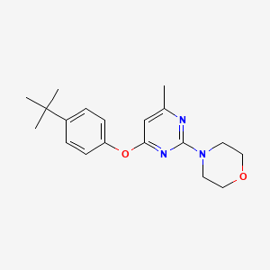 molecular formula C19H25N3O2 B5545844 4-[4-(4-tert-butylphenoxy)-6-methyl-2-pyrimidinyl]morpholine 