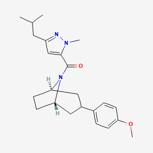molecular formula C23H31N3O2 B5546069 (3-endo)-8-[(3-isobutyl-1-methyl-1H-pyrazol-5-yl)carbonyl]-3-(4-methoxyphenyl)-8-azabicyclo[3.2.1]octane 