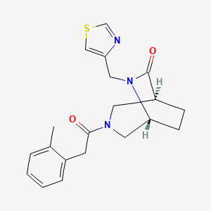 molecular formula C20H23N3O2S B5546432 (1S*,5R*)-3-[(2-甲基苯基)乙酰]-6-(1,3-噻唑-4-基甲基)-3,6-二氮杂双环[3.2.2]壬烷-7-酮 