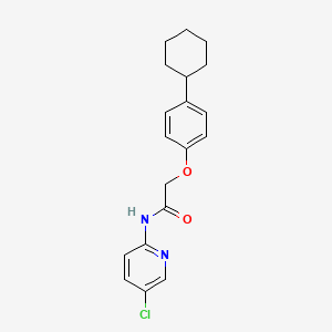 molecular formula C19H21ClN2O2 B5546549 N-(5-chloro-2-pyridinyl)-2-(4-cyclohexylphenoxy)acetamide 