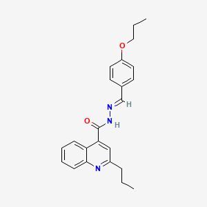 molecular formula C23H25N3O2 B5546600 N'-(4-丙氧基亚苄基)-2-丙基-4-喹啉甲酰肼 
