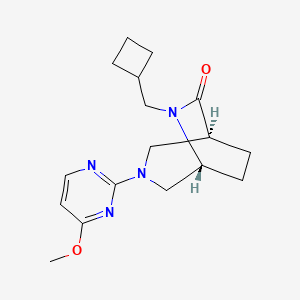 molecular formula C17H24N4O2 B5546859 (1S*,5R*)-6-(cyclobutylmethyl)-3-(4-methoxy-2-pyrimidinyl)-3,6-diazabicyclo[3.2.2]nonan-7-one 
