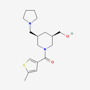 molecular formula C17H26N2O2S B5547265 [(3R*,5R*)-1-[(5-甲基-3-噻吩基)羰基]-5-(吡咯烷-1-基甲基)哌啶-3-基]甲醇 