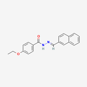 molecular formula C20H18N2O2 B5547419 4-ethoxy-N'-(2-naphthylmethylene)benzohydrazide 