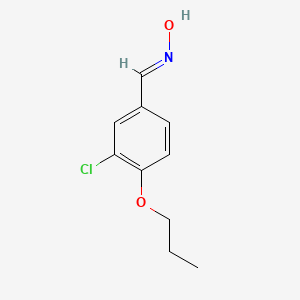 molecular formula C10H12ClNO2 B5547521 3-氯-4-丙氧基苯甲醛肟 