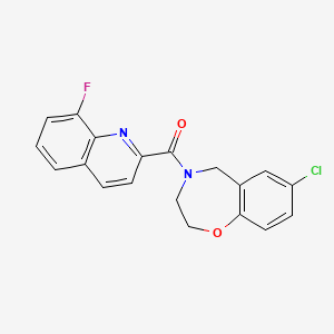 molecular formula C19H14ClFN2O2 B5548496 7-氯-4-[(8-氟-2-喹啉基)羰基]-2,3,4,5-四氢-1,4-苯并恶杂环庚二烯 