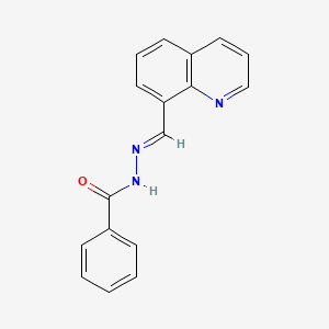 molecular formula C17H13N3O B5549201 N'-(8-喹啉亚甲基)苯并酰肼 