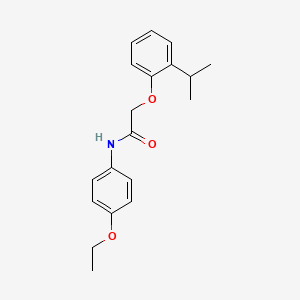 molecular formula C19H23NO3 B5550119 N-(4-乙氧苯基)-2-(2-异丙基苯氧基)乙酰胺 