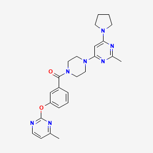 molecular formula C25H29N7O2 B5550379 2-methyl-4-(4-{3-[(4-methyl-2-pyrimidinyl)oxy]benzoyl}-1-piperazinyl)-6-(1-pyrrolidinyl)pyrimidine 