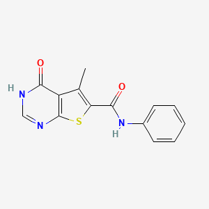 molecular formula C14H11N3O2S B5550765 5-methyl-4-oxo-N-phenyl-3,4-dihydrothieno[2,3-d]pyrimidine-6-carboxamide 