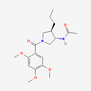 molecular formula C19H28N2O5 B5550928 N-[(3S*,4R*)-4-丙基-1-(2,4,5-三甲氧基苯甲酰)-3-吡咯烷基]乙酰胺 