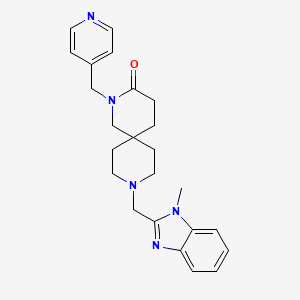 molecular formula C24H29N5O B5551017 9-[(1-甲基-1H-苯并咪唑-2-基)甲基]-2-(吡啶-4-基甲基)-2,9-二氮杂螺[5.5]十一烷-3-酮 