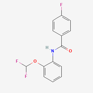 molecular formula C14H10F3NO2 B5551939 N-[2-(difluoromethoxy)phenyl]-4-fluorobenzamide 