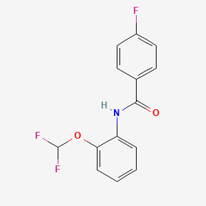 molecular formula C14H10F3NO2 B5551939 N-[2-(二氟甲氧基)苯基]-4-氟苯甲酰胺 