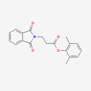 molecular formula C19H17NO4 B5552100 2,6-dimethylphenyl 3-(1,3-dioxo-1,3-dihydro-2H-isoindol-2-yl)propanoate 