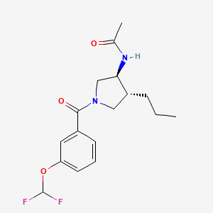 molecular formula C17H22F2N2O3 B5552787 N-{(3S*,4R*)-1-[3-(二氟甲氧基)苯甲酰]-4-丙基-3-吡咯烷基}乙酰胺 