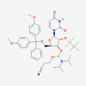 molecular formula C45H61N4O9PSi B055530 rU 亚磷酸三酯 CAS No. 118362-03-1