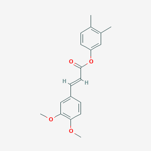 molecular formula C19H20O4 B5553584 3,4-dimethylphenyl 3-(3,4-dimethoxyphenyl)acrylate 