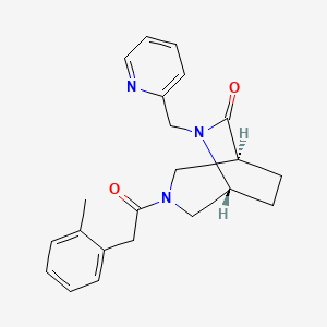 molecular formula C22H25N3O2 B5553725 (1S*,5R*)-3-[(2-methylphenyl)acetyl]-6-(2-pyridinylmethyl)-3,6-diazabicyclo[3.2.2]nonan-7-one 