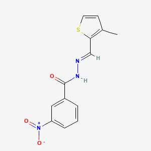 molecular formula C13H11N3O3S B5553881 N'-[(3-甲基-2-噻吩基)亚甲基]-3-硝基苯甲酰肼 