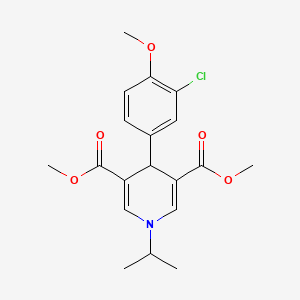 molecular formula C19H22ClNO5 B5554242 4-(3-氯-4-甲氧基苯基)-1-异丙基-1,4-二氢-3,5-吡啶二甲酸二甲酯 