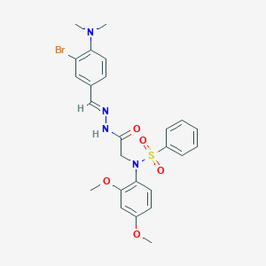 molecular formula C25H27BrN4O5S B5554337 N-(2-{2-[3-bromo-4-(dimethylamino)benzylidene]hydrazino}-2-oxoethyl)-N-(2,4-dimethoxyphenyl)benzenesulfonamide 