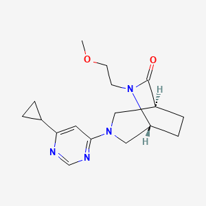molecular formula C17H24N4O2 B5554403 (1S*,5R*)-3-(6-环丙基嘧啶-4-基)-6-(2-甲氧基乙基)-3,6-二氮杂双环[3.2.2]壬烷-7-酮 