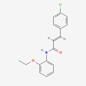 molecular formula C17H16ClNO2 B5554849 3-(4-chlorophenyl)-N-(2-ethoxyphenyl)acrylamide 