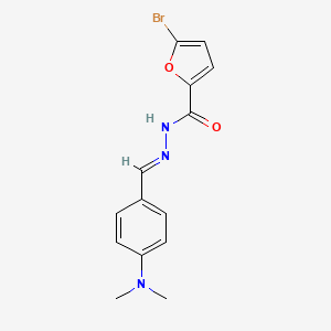 molecular formula C14H14BrN3O2 B5555068 5-bromo-N'-[4-(dimethylamino)benzylidene]-2-furohydrazide 