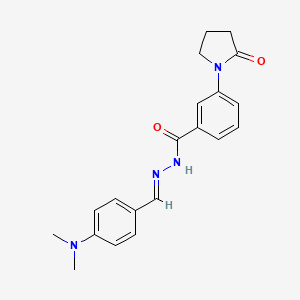 molecular formula C20H22N4O2 B5555097 N'-[4-(dimethylamino)benzylidene]-3-(2-oxo-1-pyrrolidinyl)benzohydrazide 