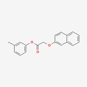 molecular formula C19H16O3 B5555305 3-methylphenyl (2-naphthyloxy)acetate 