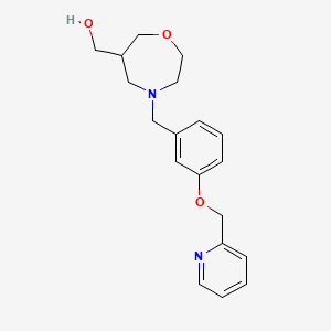 molecular formula C19H24N2O3 B5555778 {4-[3-(pyridin-2-ylmethoxy)benzyl]-1,4-oxazepan-6-yl}methanol 